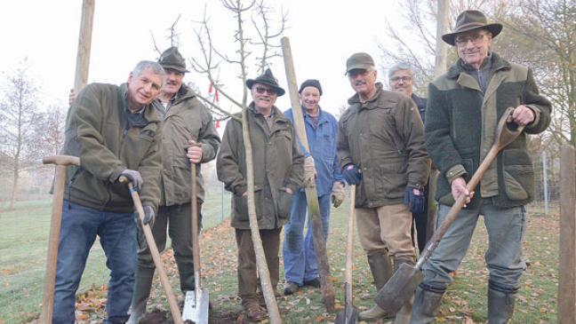 Eine Nische für Bienen und andere Tiere