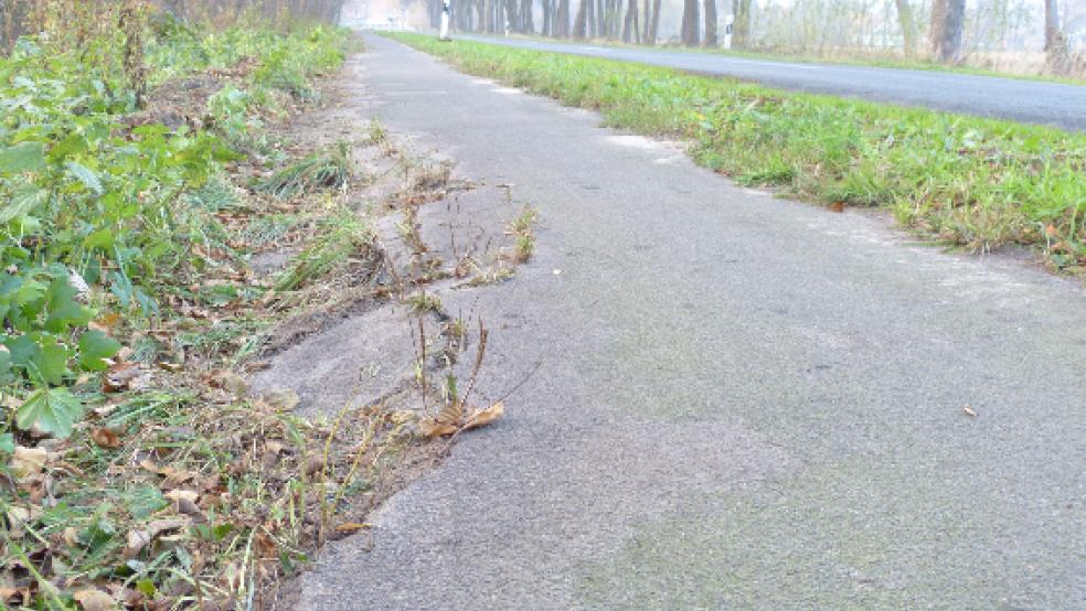 Der Radweg an der alten K 27 wächst immer mehr zu, dazu kommen Schäden am Asphalt. © Foto: SPD
