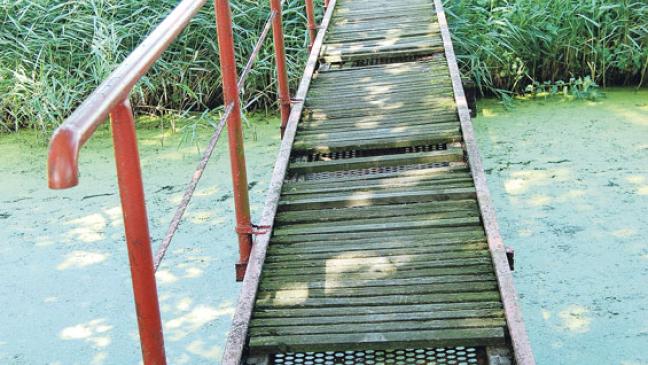 Vorerst keine Brücke zum Judenfriedhof