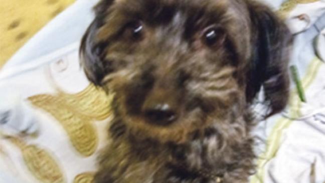 »Leyla« und »Lola« sind unzertrennlich