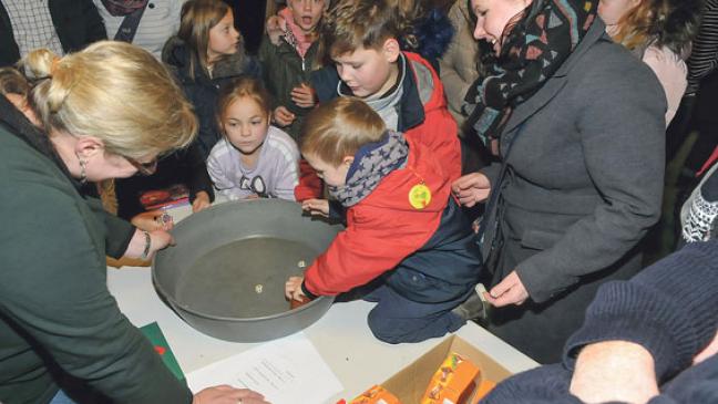 Viel Andrang beim Verknobeln