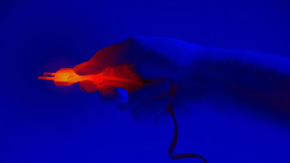 Tödliche Stromschläge haben am Montag mindestens acht Kühe in Weenermoor umgebracht, die EWE spricht von mehr als zehn toten Kühen, nach RZ-Informationen sind mittlerweile insgesamt 14 Kühe tot, einige mussten eingeschläfert werden. © Foto: Pixabay