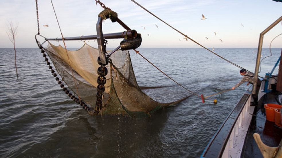 Die Krabbenfischer dürfen weiterhin ihren Beifang zurück ins Meer werfen. © Archivfoto: Ingo Wagner (dpa)