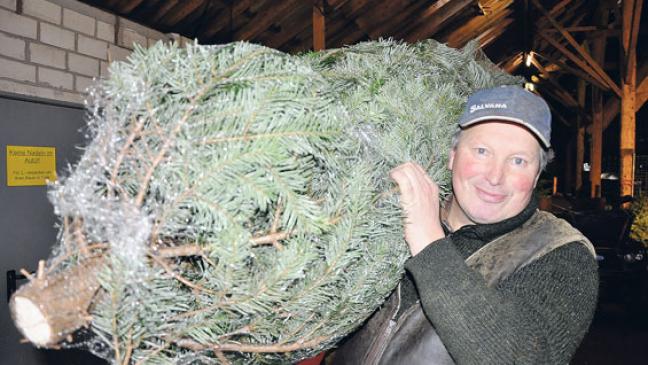 Endspurt beim Weihnachtsbaumverkauf