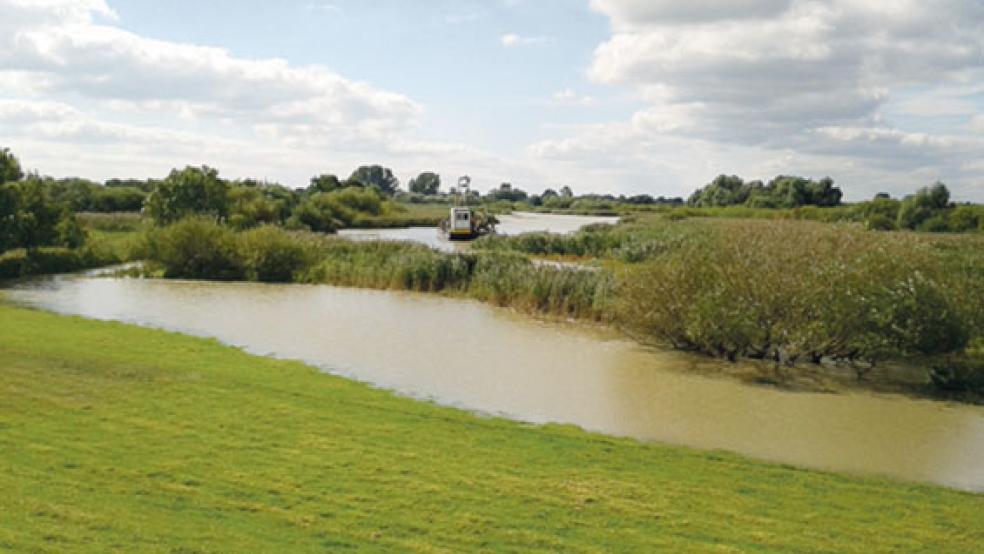 Statt des anfangs geplanten Pilot-Tidespeichers im Bereich des Ems-Altarms in Vellage - hier ein Archivbild von Bodenuntersuchungen - soll ein dauerhafter Polder zur Entwicklung ästuartypischer Lebensräume angelegt werden. © Archivfoto: Landesbetrieb NLWKN