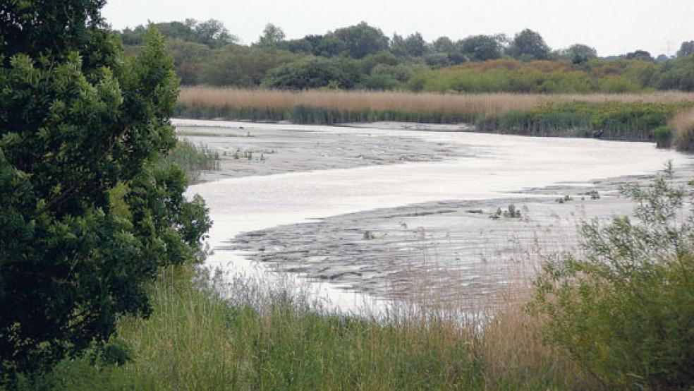 Auch am Altarm der Ems bei Vellage soll der Tide laut »Masterplan« mehr Raum gegeben werden. © Foto: Koenen