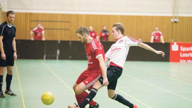 Rheiderländer beginnen mit Derby
