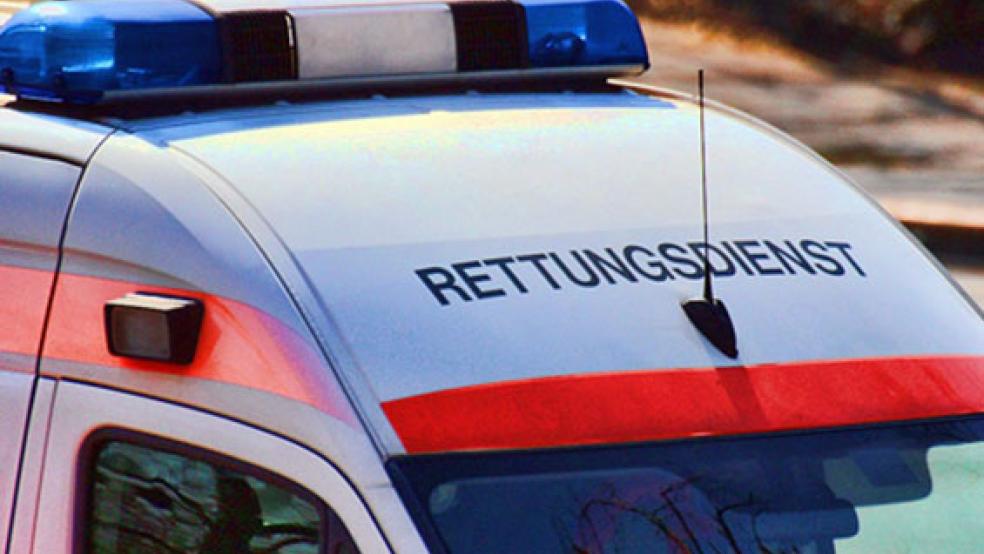 Eine junge Frau ist gestern Nachmittag in der Krummhörn von einem Pferd gestürzt.  © Foto: RZ-Archiv