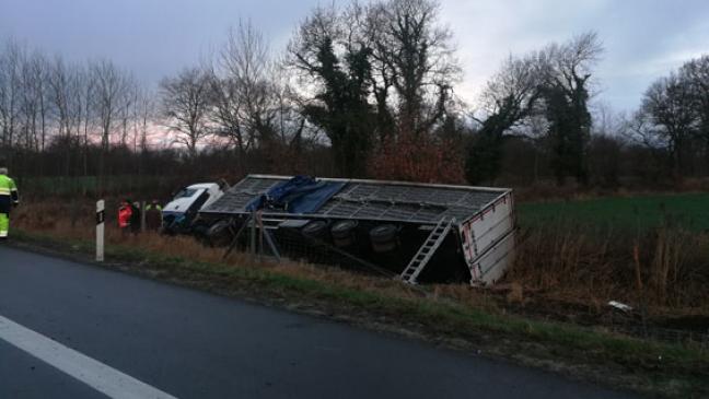 Lkw mit 6000 Hühnern verunglückt
