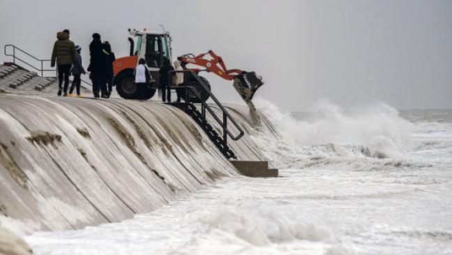 Treibgut auf Borkum angespült