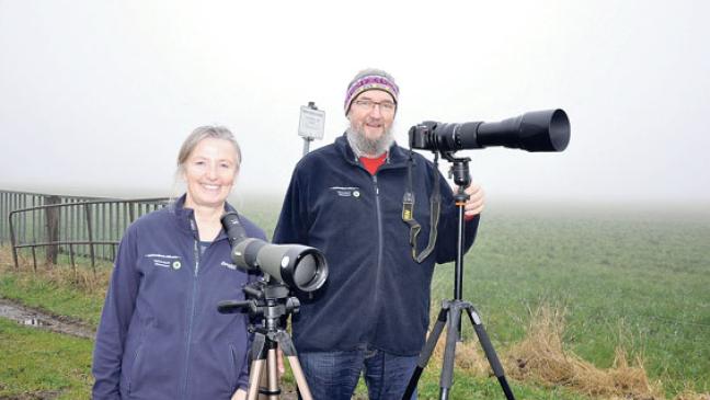 Ausflüge zu den Wildgänsen