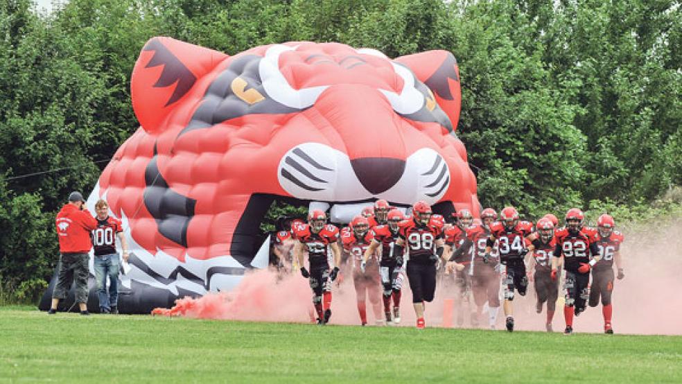 Treten weiterhin in der vierthöchsten Spielklasse an: Die »Emden Tigers«. © Foto: Wilken