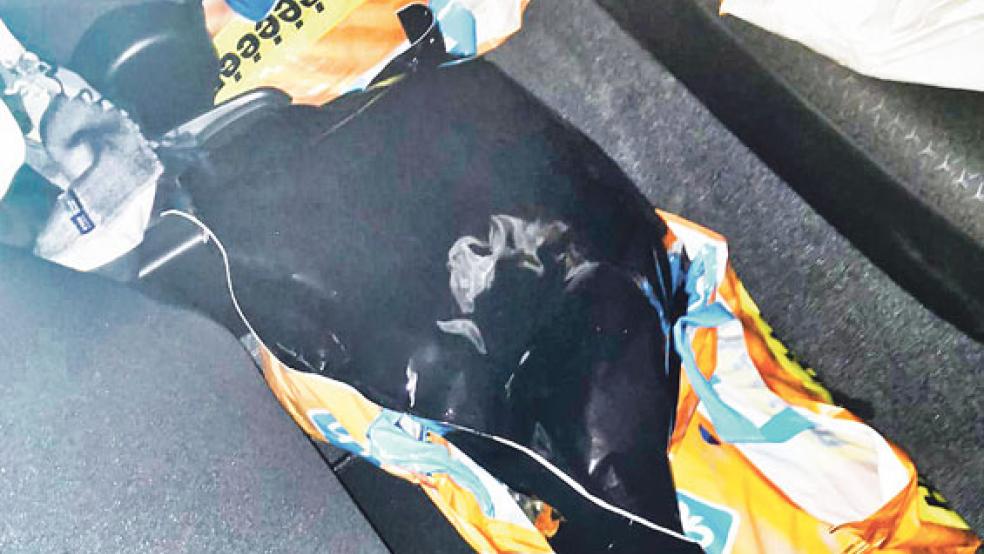 In solchen Plastiktüten stießen die Zöllner auf insgesamt 2,7 Kilogramm Marihuana. © Foto: Zoll