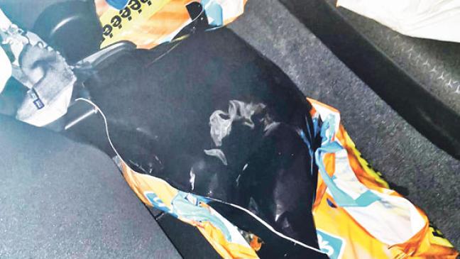 Marihuana im Wert von 27.000 Euro