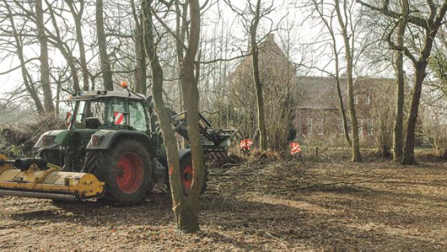 Im Frühjahr soll es am Steinhaus blühen