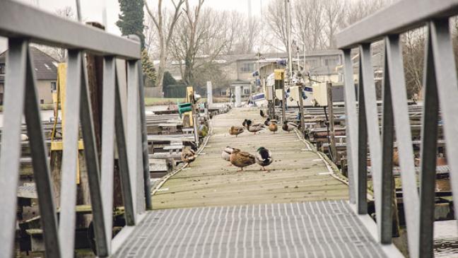 Schlick und Pacht: Segler senden Notsignale