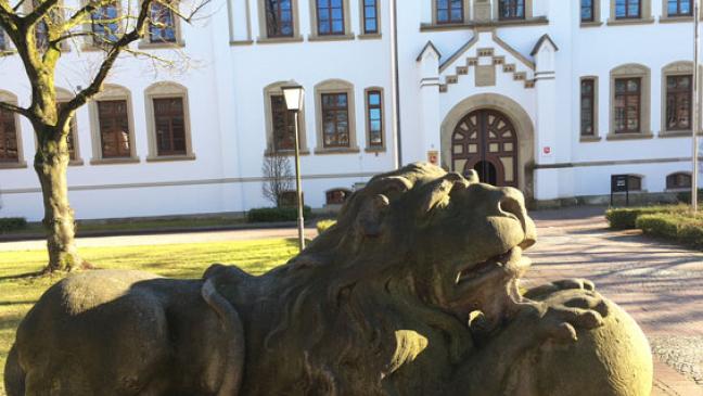 Blut, Senf und jede Menge Alkohol