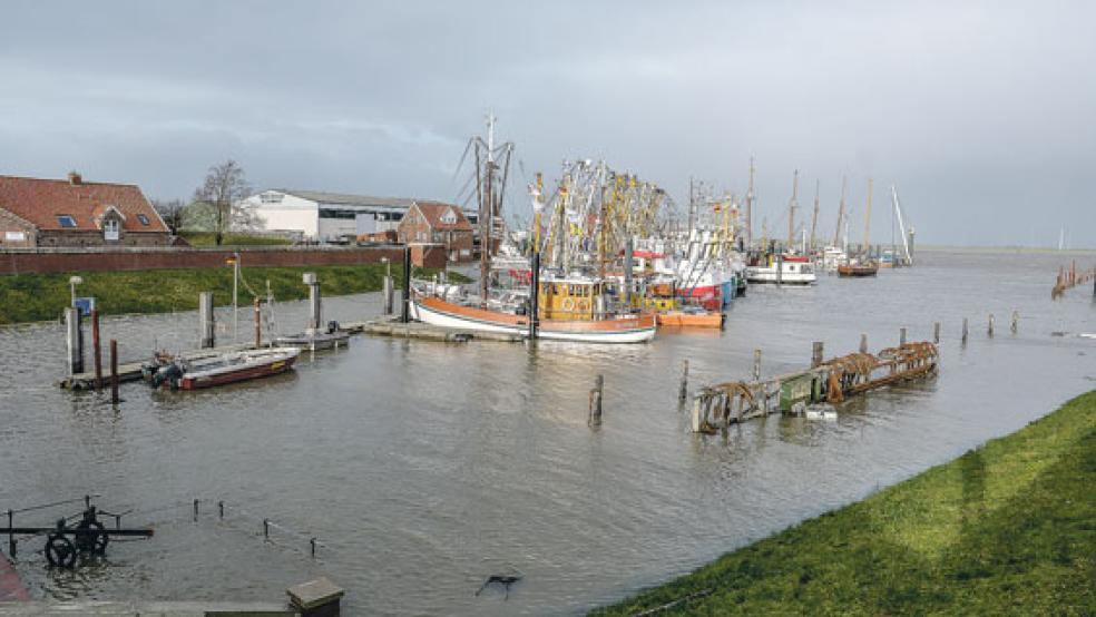 Die Hafenanlagen in Ditzum standen bei der jüngsten Sturmflut am 8. Januar wieder großflächig unter Wasser. Die CDU-Ratsfraktion sieht einen Grund in der Rückstauwelle, die bei einer Schließung des Sperrwerks entsteht. © Archivfoto: Klemmer
