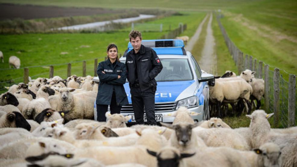 Der hauptsächlich in Leer und im Rheiderland gedrehte »Friesland-Krimi« mit den Polizisten Süher Özlügül (Sophie Dal) und Henk Cassens (Maxim Mehmet) in den Hauptrollen wurde für die »Goldene Kamera« nominiert. © Foto: ZDF/Willi Weber