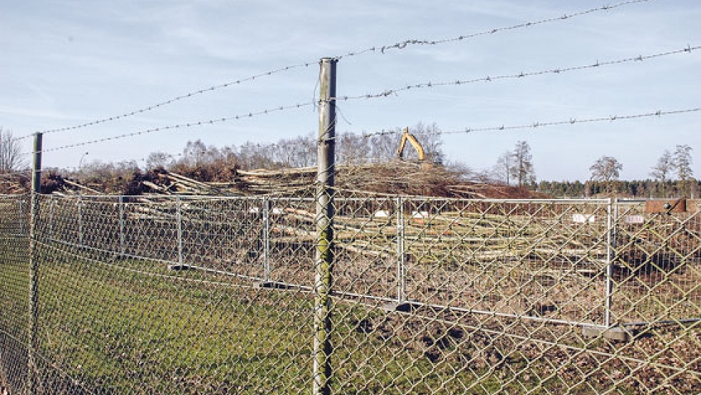 Das Birkenwäldchen wurde bereits abgeholzt, in Kürze soll das Pumpenhaus abgerissen werden. © Foto: Szyska