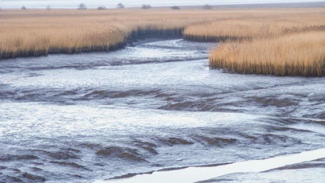 Ems-Schlick soll Nutzen statt Ärger bringen