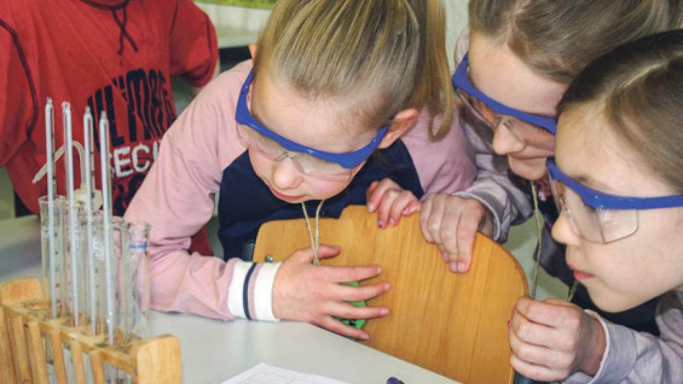 Volle Konzentration war sowohl während des Kooperationsspiels, als auch im Chemieunterricht beim Ablesen der Temperaturen gefragt.  © Foto: Bassalig