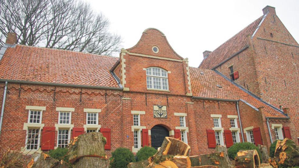 Kahlschlag vor dem Steinhaus. Am Montag sollen neue Bäume gepflanzt werden. © Foto: Bassalig