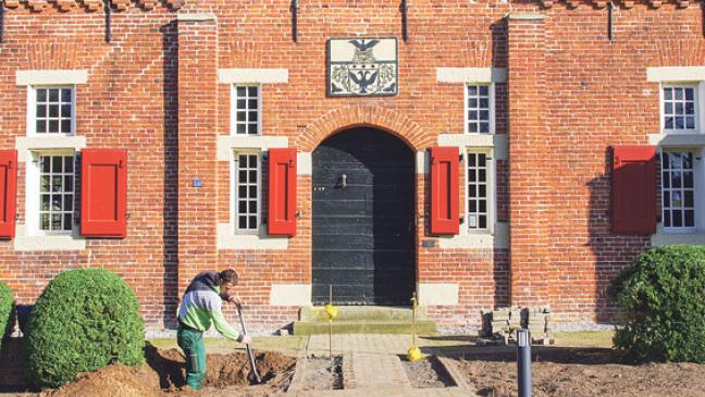 Sieben neue Kopflinden für das Steinhaus