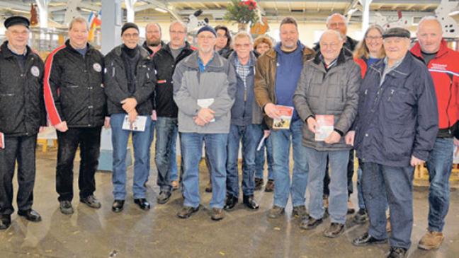 Rheiderländer in Cloppenburg