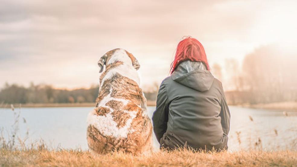 In Weener wird es in Zukunft keinen Hundeauslaufplatz geben. Dagegen sprach sich mehrheitlich der Bau- und Umweltausschuss aus.  © Foto: pixabay