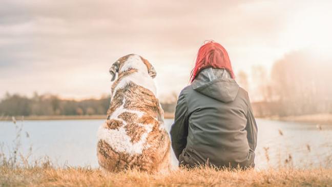 Kein freier Auslauf für die Vierbeiner
