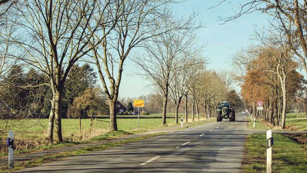 Die alte Kreisstraße 27 von Vellage nach Diele und der einseitig verlaufende Radweg müssen beide dringend saniert werden. © Foto: Hoegen