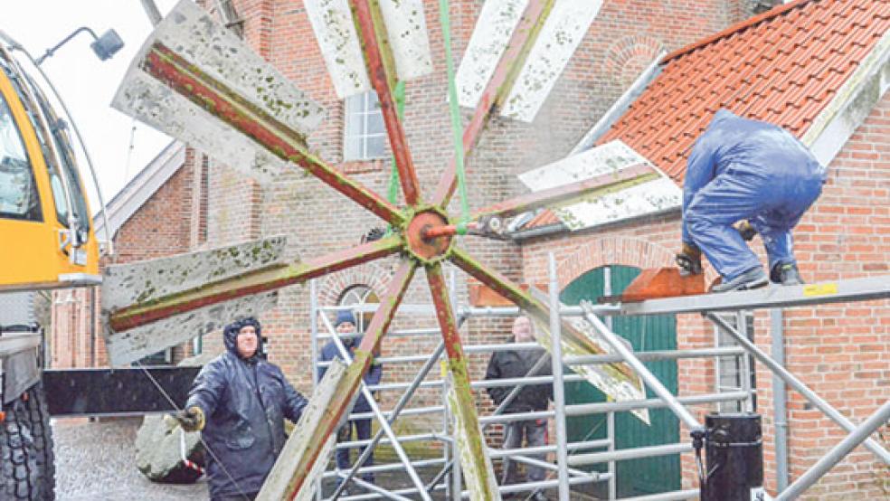 Auf einem Gerüst vor der Ditzumer Windmühle wurde die Windrose abgelegt. Den Höhenflug ließen sich die freiwilligen Müller Hermann Oltmanns (hinten rechts) und Johann Glazenburg (hinten links) nicht entgehen. © Foto: Muising