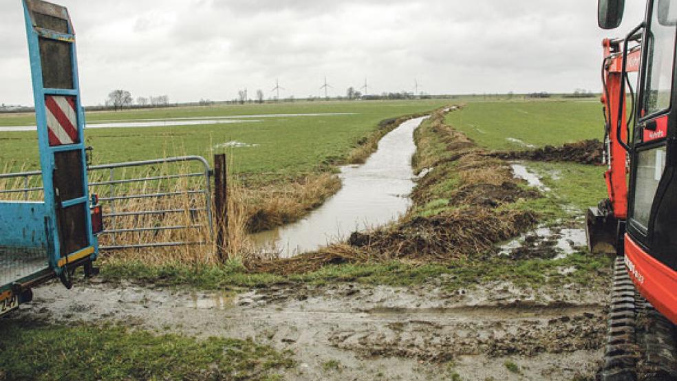 Die Bruchstelle liegt an der Straße »Ukeborg« in Jemgumgeise. © Fotos: Szyska