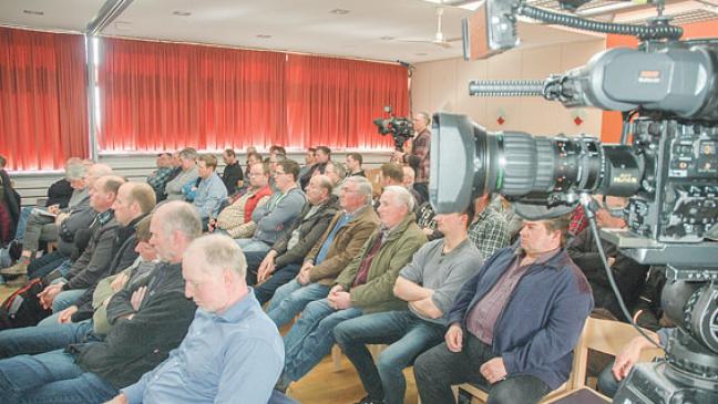 Gänsefraß-Schäden: Neues Programm