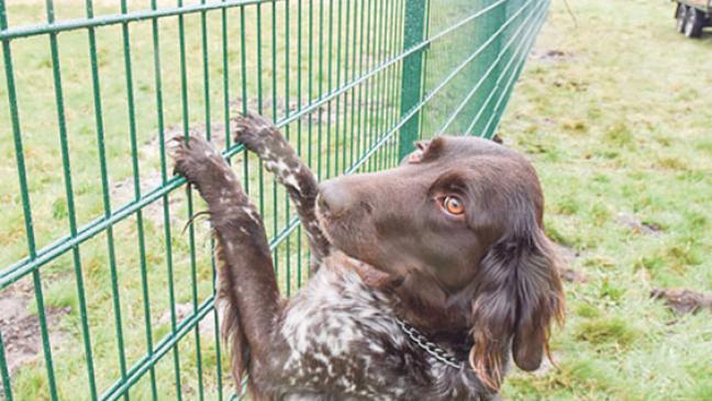 Papenburg macht es Stadt Weener vor