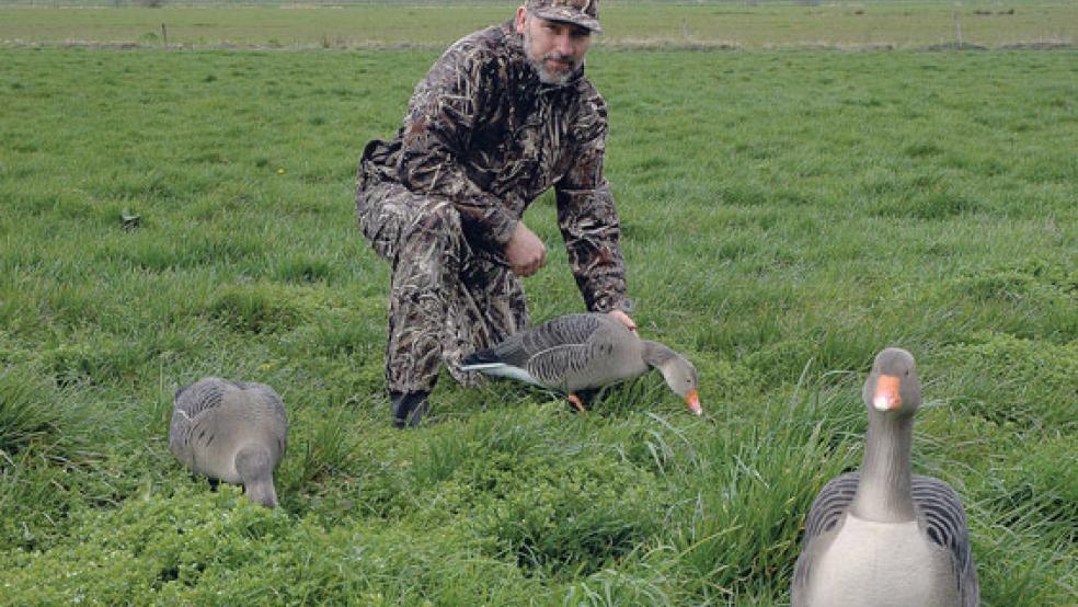 Hero Schulte aus St. Georgiwold setzt Lockgänse zur Jagd ein, um den lebendigen Artgenossen einen sicheren Äsungsplatz vorzutäuschen. © Foto: Szyska