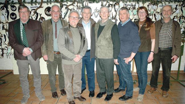 Insekten-Sterben führt zum Küken-Tod