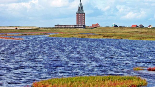 Deichbau geht in die finale Phase