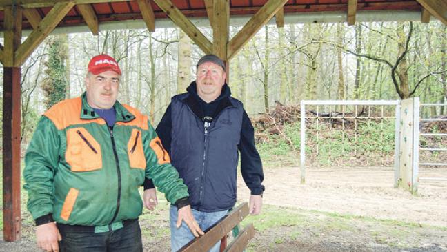 Neue Blutbuche muss noch kräftig wachsen