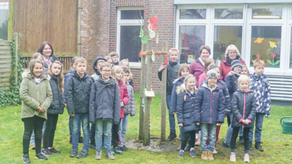  © Foto: Grundschule