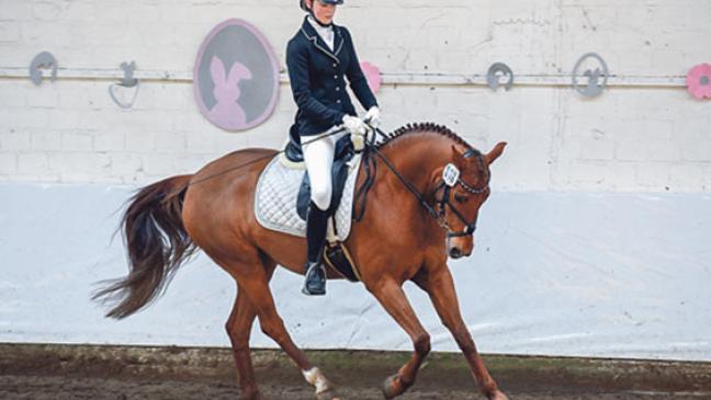 Braam gewinnt Springcup