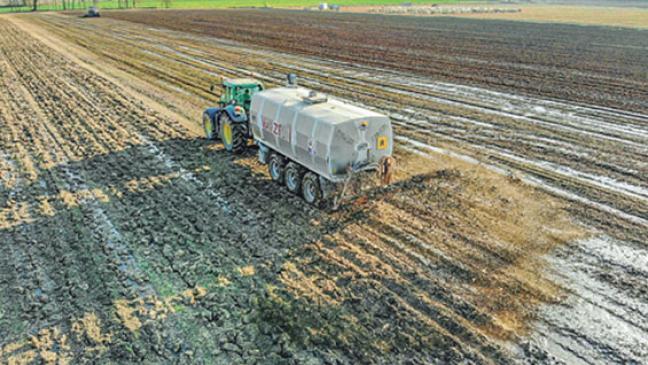 Gülle fließt  in Gewässer: Fische sterben