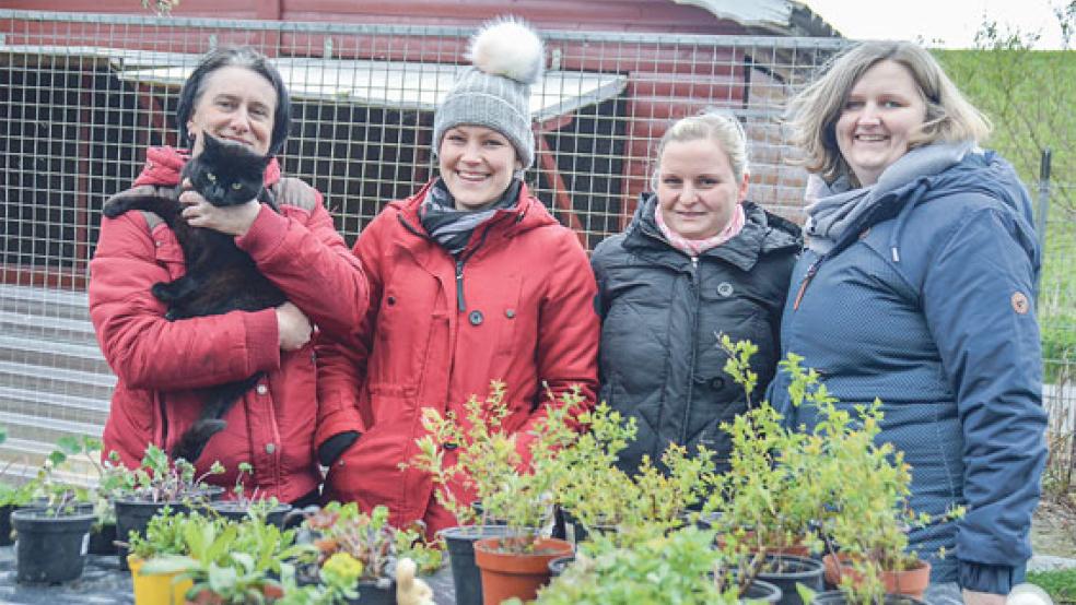 Hatten nur für das Foto kurz Zeit zum Verpusten: die ehrenamtlichen Mitarbeiter des Tierheims hatten den ganzen Samstag und schon vor der Staudenbörse alle Hände voll zu tun. © Fotos: Himstedt