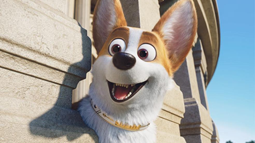 Leben im Luxus: Corgi Rex geht es ein bisschen zu gut, weswegen er allerlei Allüren entwickelt. © Foto: Wild Bunch Germany