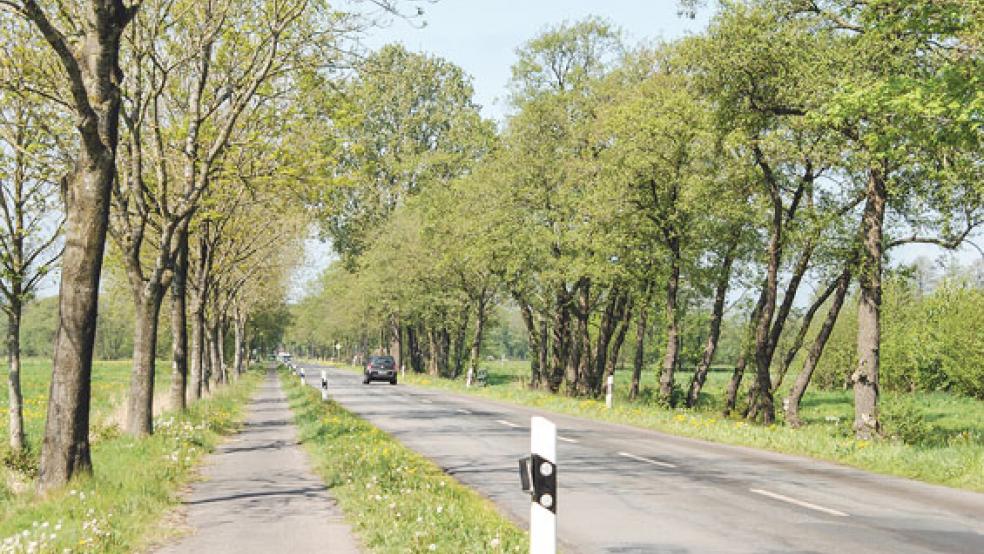 Der Radweg entlang der alten Kreisstraße 27, hier von Vellage aus gesehen, ist nach wie vor dringend sanierungsbedürftig. Eine kurzfristige Lösung ist hier allerdings nicht in Sicht.  © Foto: Hoegen