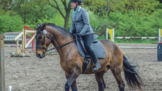 Gäste reisen aus Luxemburg zum Reitturnier an