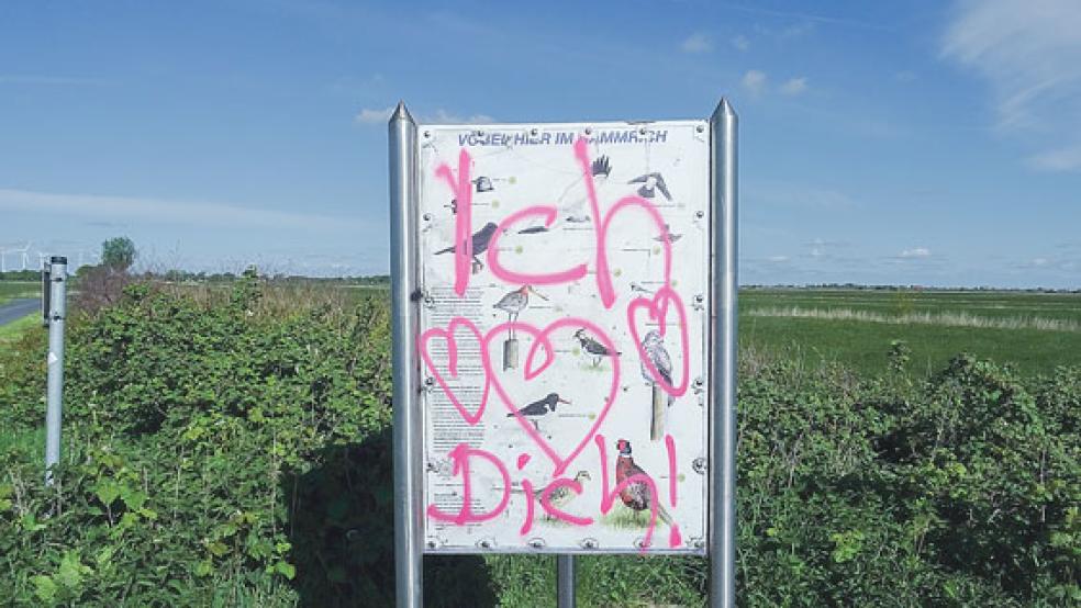 Mit Sprühfarbe in Pink wurde diese Infotafel im Hammrich in Weenermoor beschmiert. © Foto: privat
