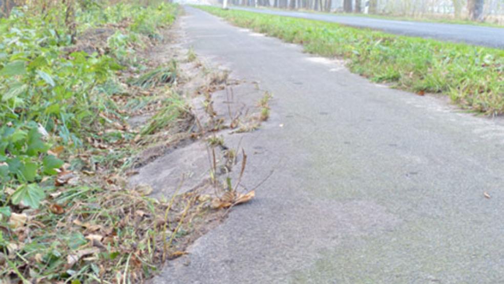 Hier muss dringend saniert werden. Nach einem Ortstermin hat die SPD-Fraktion im Stadtrat den Radweg an der alten K 27 politisch zum Thema gemacht. © Foto: SPD