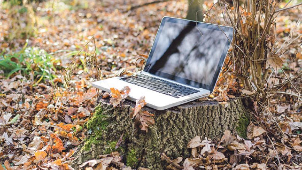 Überall ins Internet: Durch die Einrichtung von WiFi-Hotspots in öffentlichen Räumen soll das in naher Zukunft auch in den Rheiderland-Kommunen Bunde und Jemgum für Bürger kostenlos möglich werden. © Symbolfoto: Pixabay